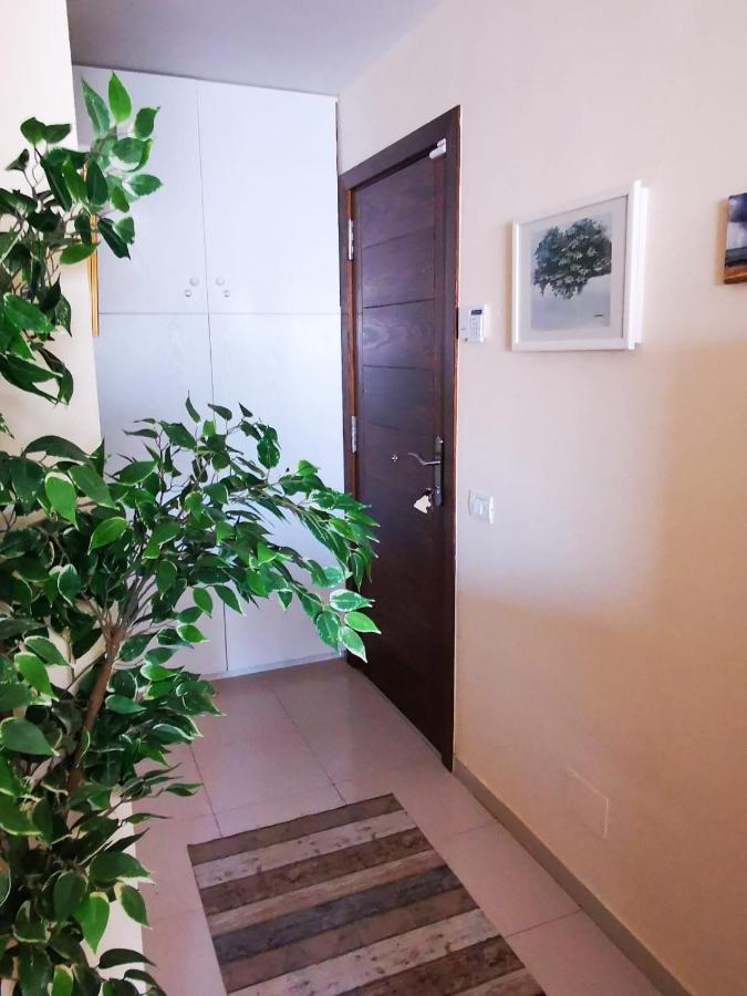 Bookinn Golf Park Sunny Cozy Apartment Near The Ocean With Large Double Terraces, Fiber Wifi, 3 Pools, Bbq Tenerife South Σαν Μιγκέλ ντε Αμπόνα Εξωτερικό φωτογραφία